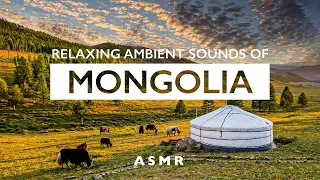 Ambient Sounds of MONGOLIA| For Relaxation |  | 몽고 대평원 | 편안한 소리 | ASMR | 4 Hours