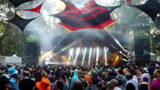 Future Rock- Hulaween 2016