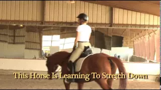 How To Engage Your Horse's Back