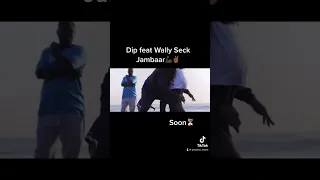 Teaser Dip doundou guiss feat Wally Seck:Jambaar