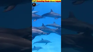 Top5 Amazing Facts About Dolphin Fish #shorts #trending #shortvideo #interesting facts #Fact