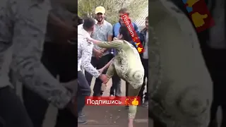 РАКОСАЛАР ШАРМАНДАЛАР 🤦‍♂💃🤷‍♂🤦‍♀💃👍 #подпишись #gurgali_tj