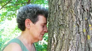 La mujer que escucha a los árboles | Naturnia