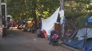 1 detained during Laurelhurst Park homeless camp sweep