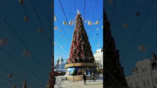 Новогодняя ёлка 2022 в Киеве. #киев #украина #новыйгод #новогодняяелка #праздник #елка