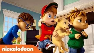 ALVINNN!!! and the Chipmunks | 'Puppy Love' Official Karaoke Video | Nick