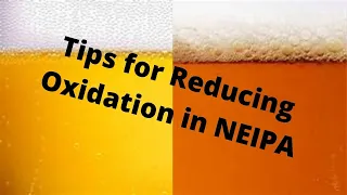 How To Reduce Oxidation in New England IPA - Brew Dudes