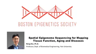 Boston Epigenetics Society (BES) Meeting March 2024 - Rong Fan, Yale University