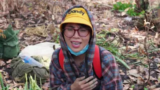 Chị Thơ Đi Lấy Mật Ong Trong Rừng Sâu | Thơ Nguyễn' s Fan