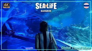 SEA LIFE Bangkok Ocean World Siam Paragon Aquarium 🇹🇭 Thailand