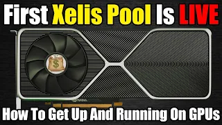 First Xelis Pool Is LIVE - How To Connect