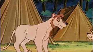 Leo the Lion King of the Jungle The Elephant Helps Tooey’s Mother Out Slow Motion 2x