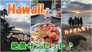 絶対オススメ♪ハワイで絶景サンセット＆カメさん♪(Hawaii Vlog #8)