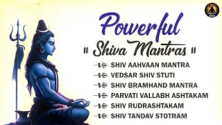 Powerful Shiva Mantras | Shiva Powerful Songs | Shiva Ancient Mantra | Slowed and Reverb