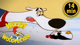 Vegetarian Bears | 2 Full Episodes |  Woody Woodpecker