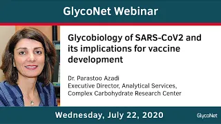 GlycoNet Webinar ft. Parastoo Azadi: SARS-CoV2 glycobiology & implications for vaccine development