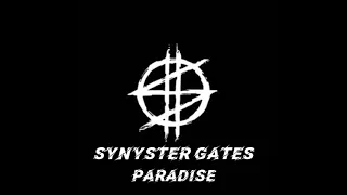 Synyster Gates - Paradise