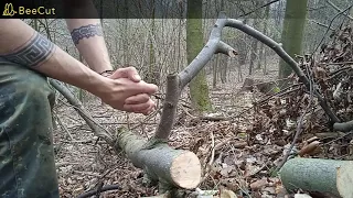 Dřevěná palice