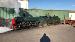 RHDR 3 Feb 2019