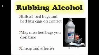 How to Get Rid of Bed Bugs