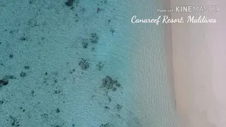 Addu Atoll, Maldives (Aug 2019)