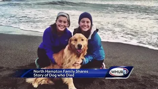 Family upset after dog dies at groomer's