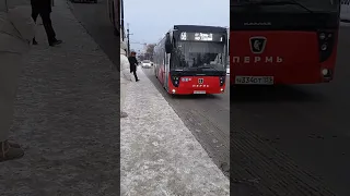 Автобус НЕФАЗ-5299-30-57 на остановке ЦУМ | Пермь