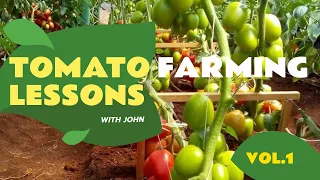 HOW I MADE KES 49,820 FROM 1/8 ACRE OF TOMATOES (ENGLISH)