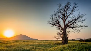 Захватывающие дух места / Breathtaking places (4K UHD)