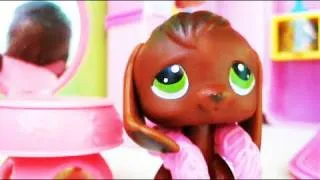 Littlest Pet Shop: Popular (Episode #4: New Girl In Town)