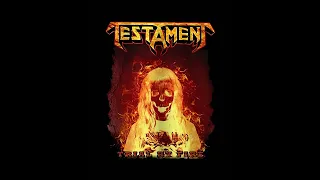 Testament - Trial By Fire (D# Tuning)