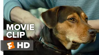 A Dog's Way Home Movie Clip - Go Home (2019) | Movieclips Coming Soon