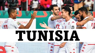 2022 FIFA World Cup Teams Profile | Group D: Tunisia