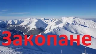 Главный горнолыжный 🎿 курорт Польши. ​Что посмотреть в Закопане?