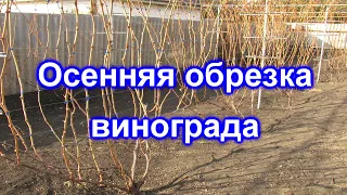 Осенняя обрезка винограда