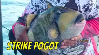 Battle Fishing Di Spot Uluwatu | MANCING MANIA STRIKE BACK (24/09/23) Part 1