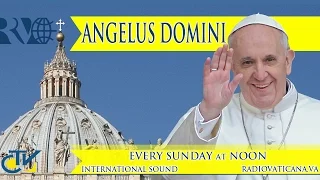 Angelus Domini  - 2014.08.24