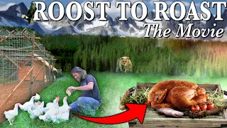 Rocky Mountain Chicken Coop: The MOVIE | Build, Raise, and Cook GIANT Meat Birds!