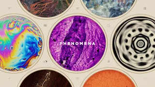 Phenomena | Official Trailer