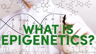 What is Epigenetics - with Marc David