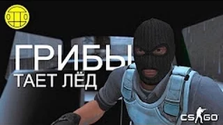 Грибы - Тает Лёд (Пародия CS:GO)