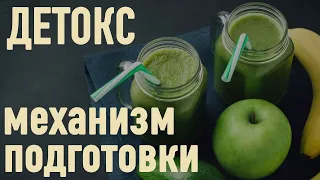 БАЗОВЫЙ ЭТАП ОЗДОРОВЛЕНИЯ