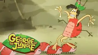 King of The Beetles! | George Of The Jungle | Full Episode | Videos for Kids