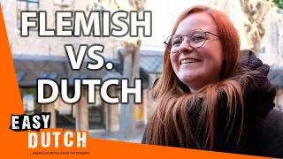 Flemish Dutch vs. Dutch from the Netherlands | Easy Dutch 2