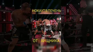 HARDCORE. Нокаут в печень от Хищника (Хайбула Мусалов)  #shorts #2022 #hardcore