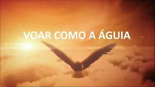 VOAR COMO A ÁGUIA - Alda Célia (Letra e Música)