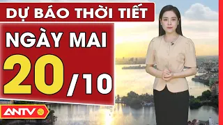 Dự báo thời tiết ngày mai 20/10: Hà Nội nhiều mây, có mưa rào rải rác | ANTV