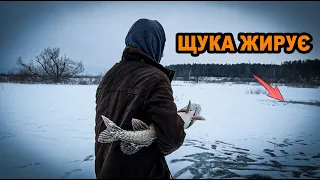 Місцеві показали як треба ловити ЩУКУ! Щука на жерлиці 2023