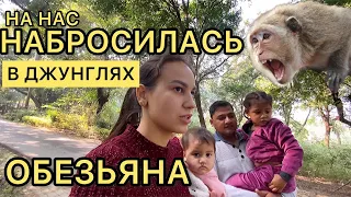 Срочно уехали в Лакхнау. Пошли смотреть на крокодилов. Опять набросилась обезьяна