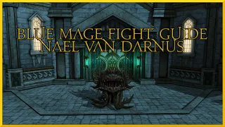 Blue Mage Raid Guide: Nael van Darnus (T9)